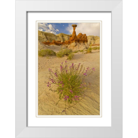 UT, Grand Staircase Escalante NM Flowers scenic White Modern Wood Framed Art Print with Double Matting by Illg, Cathy and Gordon