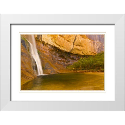 UT, Lower Calf Creek Falls Waterfall into pool White Modern Wood Framed Art Print with Double Matting by Illg, Cathy and Gordon