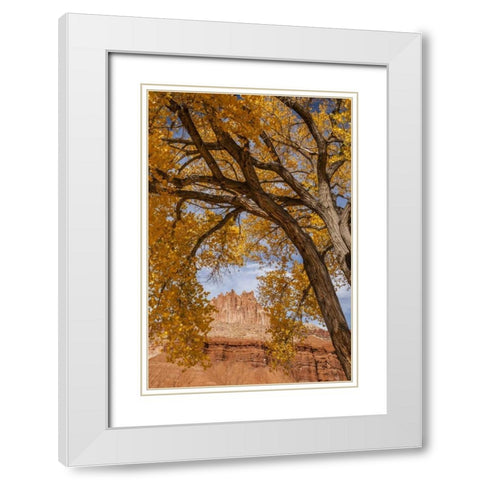 UT, Capitol Reef The Castle rock formation White Modern Wood Framed Art Print with Double Matting by Illg, Cathy and Gordon