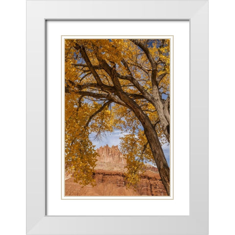 UT, Capitol Reef The Castle rock formation White Modern Wood Framed Art Print with Double Matting by Illg, Cathy and Gordon