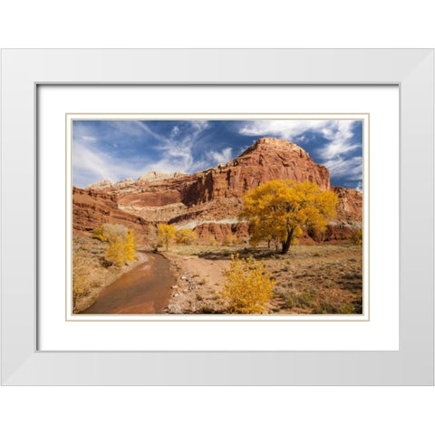 Utah, Capitol Reef Creek and autumn landscape White Modern Wood Framed Art Print with Double Matting by Illg, Cathy and Gordon