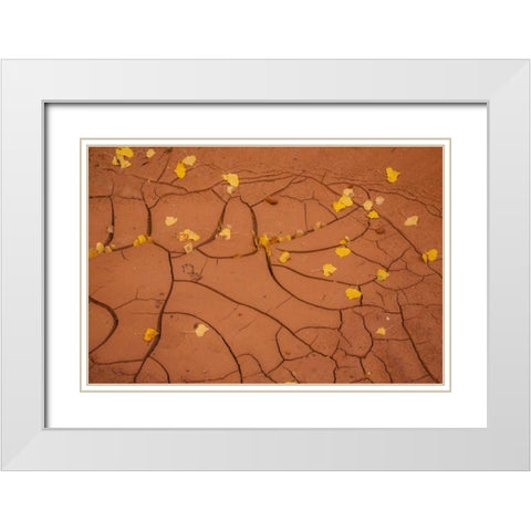 Utah, Capitol Reef Cracked mud and fall leaves White Modern Wood Framed Art Print with Double Matting by Illg, Cathy and Gordon
