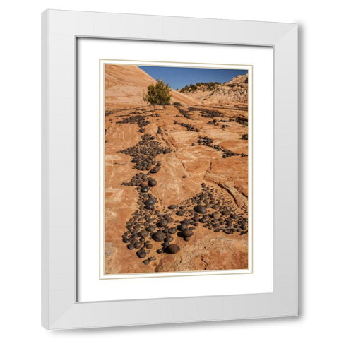 UT, Grand Staircase Escalante NM Moki marbles White Modern Wood Framed Art Print with Double Matting by Illg, Cathy and Gordon