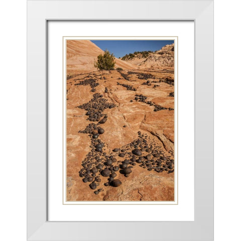 UT, Grand Staircase Escalante NM Moki marbles White Modern Wood Framed Art Print with Double Matting by Illg, Cathy and Gordon