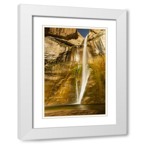 UT, Grand Staircase Escalante, Calf Creek Falls White Modern Wood Framed Art Print with Double Matting by Illg, Cathy and Gordon
