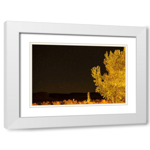 USA, Utah Stary night sky in autumn White Modern Wood Framed Art Print with Double Matting by Illg, Cathy and Gordon