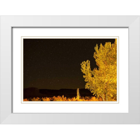 USA, Utah Stary night sky in autumn White Modern Wood Framed Art Print with Double Matting by Illg, Cathy and Gordon