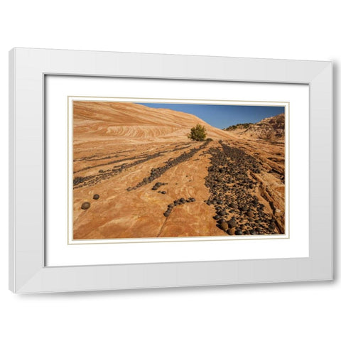 UT, Grand Staircase Escalante NM Moki marbles White Modern Wood Framed Art Print with Double Matting by Illg, Cathy and Gordon