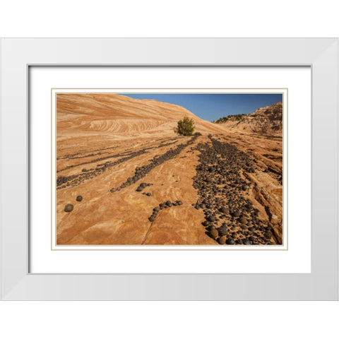 UT, Grand Staircase Escalante NM Moki marbles White Modern Wood Framed Art Print with Double Matting by Illg, Cathy and Gordon