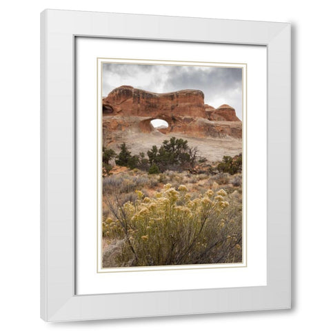 USA, Utah, Arches NP Scenic of Tunnel Arch White Modern Wood Framed Art Print with Double Matting by Illg, Cathy and Gordon