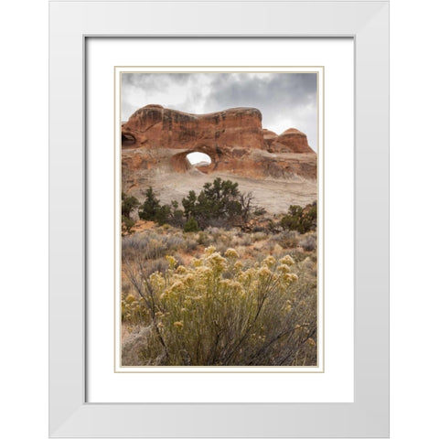 USA, Utah, Arches NP Scenic of Tunnel Arch White Modern Wood Framed Art Print with Double Matting by Illg, Cathy and Gordon
