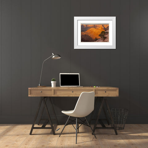 Utah, Dead Horse Point SP Sunrise on canyon White Modern Wood Framed Art Print with Double Matting by Illg, Cathy and Gordon