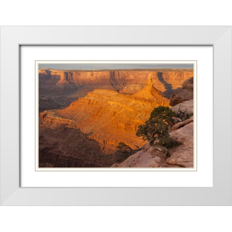 Utah, Dead Horse Point SP Sunrise on canyon White Modern Wood Framed Art Print with Double Matting by Illg, Cathy and Gordon