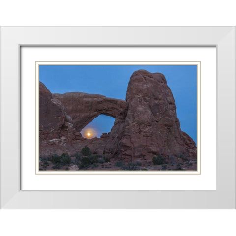 UT, Arches NP South Window arch and full moon White Modern Wood Framed Art Print with Double Matting by Illg, Cathy and Gordon