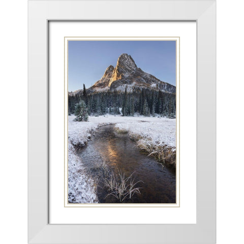 Fresh autumn snow on Liberty Bell Mountain and meadows of Washington State Pass White Modern Wood Framed Art Print with Double Matting by Majchrowicz, Alan