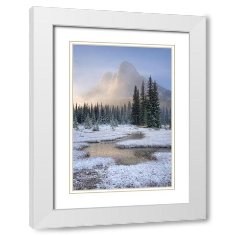 Fresh autumn snow on Liberty Bell Mountain and meadows of Washington State Pass White Modern Wood Framed Art Print with Double Matting by Majchrowicz, Alan