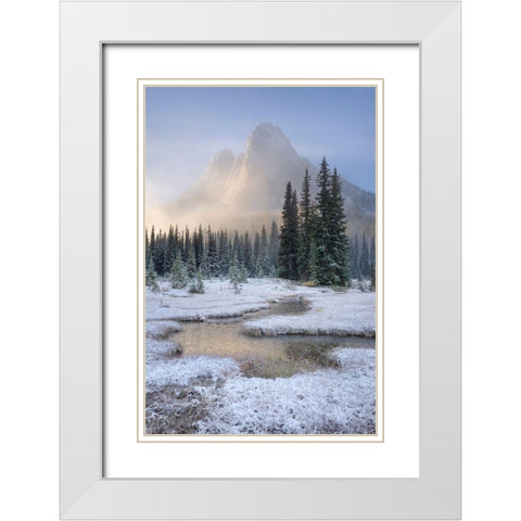 Fresh autumn snow on Liberty Bell Mountain and meadows of Washington State Pass White Modern Wood Framed Art Print with Double Matting by Majchrowicz, Alan