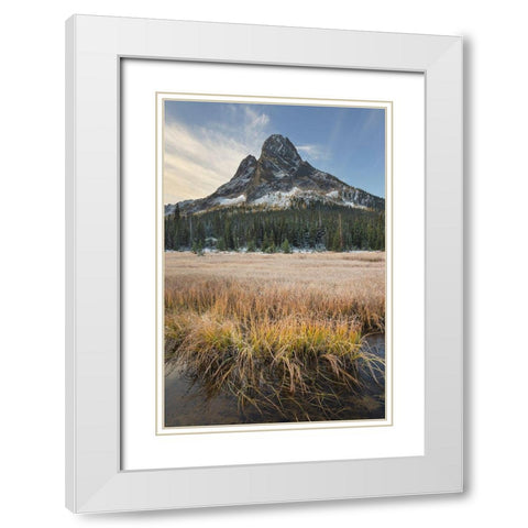 Liberty Bell Mountain and meadows of Washington State Pass North Cascades-Washington State White Modern Wood Framed Art Print with Double Matting by Majchrowicz, Alan
