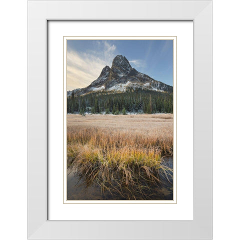 Liberty Bell Mountain and meadows of Washington State Pass North Cascades-Washington State White Modern Wood Framed Art Print with Double Matting by Majchrowicz, Alan