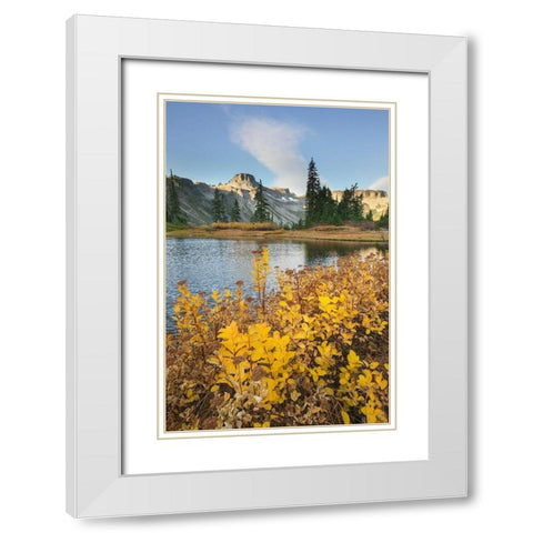 Heather Meadows in autumn Table Mountain is in the distance  White Modern Wood Framed Art Print with Double Matting by Majchrowicz, Alan
