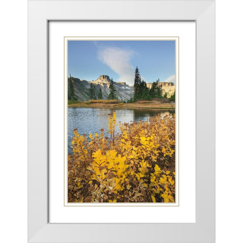 Heather Meadows in autumn Table Mountain is in the distance  White Modern Wood Framed Art Print with Double Matting by Majchrowicz, Alan