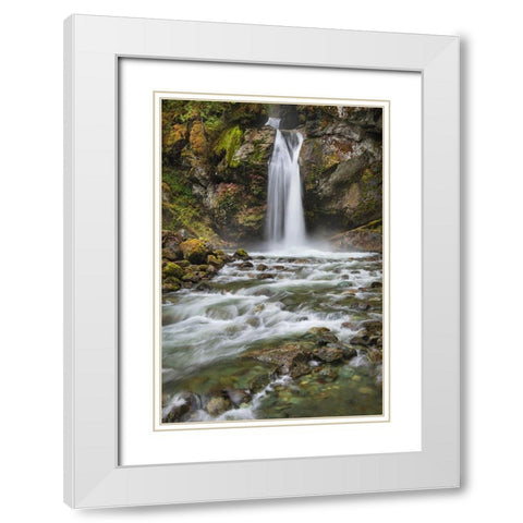 Lazy Bear Falls-Mount Baker-Snoqualmie National Forest-North Cascades-Washington State White Modern Wood Framed Art Print with Double Matting by Majchrowicz, Alan