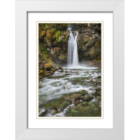 Lazy Bear Falls-Mount Baker-Snoqualmie National Forest-North Cascades-Washington State White Modern Wood Framed Art Print with Double Matting by Majchrowicz, Alan