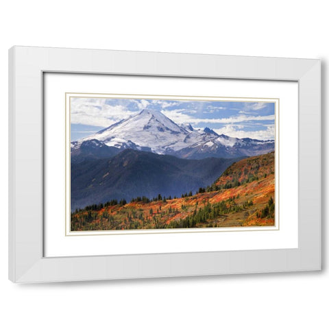 WA, Mount Baker from Yellow Aster Butte Trail White Modern Wood Framed Art Print with Double Matting by Paulson, Don