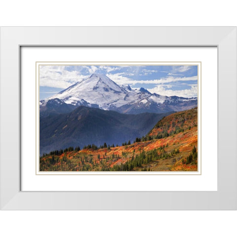 WA, Mount Baker from Yellow Aster Butte Trail White Modern Wood Framed Art Print with Double Matting by Paulson, Don