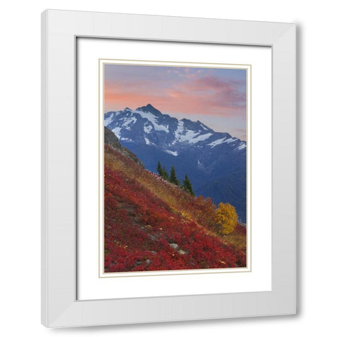 WA, Mount Baker Wilderness View of Mount Shuksan White Modern Wood Framed Art Print with Double Matting by Paulson, Don