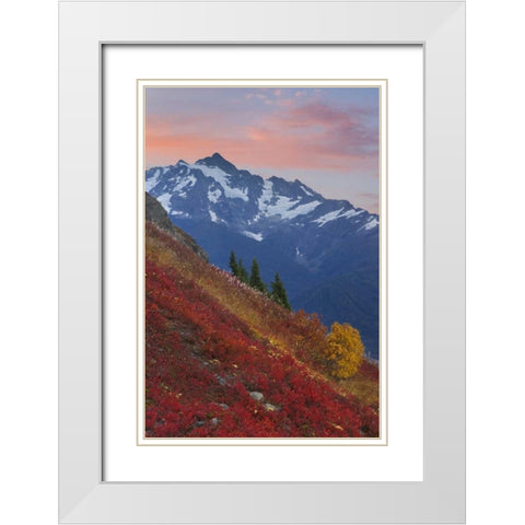 WA, Mount Baker Wilderness View of Mount Shuksan White Modern Wood Framed Art Print with Double Matting by Paulson, Don