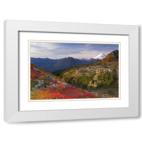 WA, Mount Baker Wilderness View of Mount Shuksan White Modern Wood Framed Art Print with Double Matting by Paulson, Don