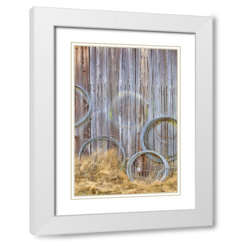 WA, Silverdale Wire coiled on barn wall White Modern Wood Framed Art Print with Double Matting by Paulson, Don