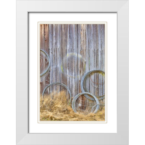 WA, Silverdale Wire coiled on barn wall White Modern Wood Framed Art Print with Double Matting by Paulson, Don