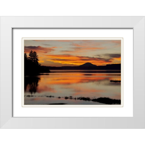 USA, Washington Sunset on Lake Quinault White Modern Wood Framed Art Print with Double Matting by Paulson, Don