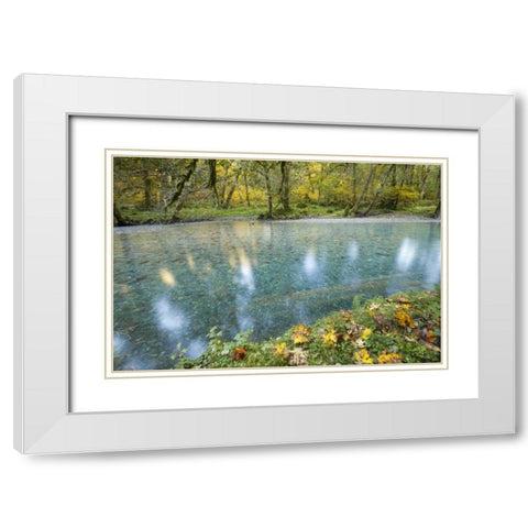 Washington Quinault River in the Olympic NP White Modern Wood Framed Art Print with Double Matting by Paulson, Don
