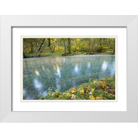 Washington Quinault River in the Olympic NP White Modern Wood Framed Art Print with Double Matting by Paulson, Don