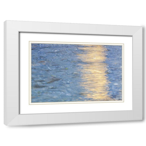 Washington Quinault River in the Olympic NP White Modern Wood Framed Art Print with Double Matting by Paulson, Don