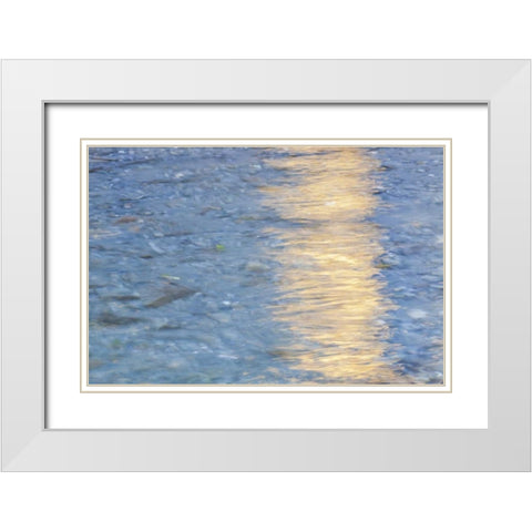 Washington Quinault River in the Olympic NP White Modern Wood Framed Art Print with Double Matting by Paulson, Don
