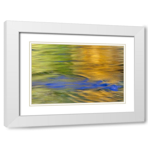 WA, Quinault Autumn reflect in Quinault River White Modern Wood Framed Art Print with Double Matting by Paulson, Don