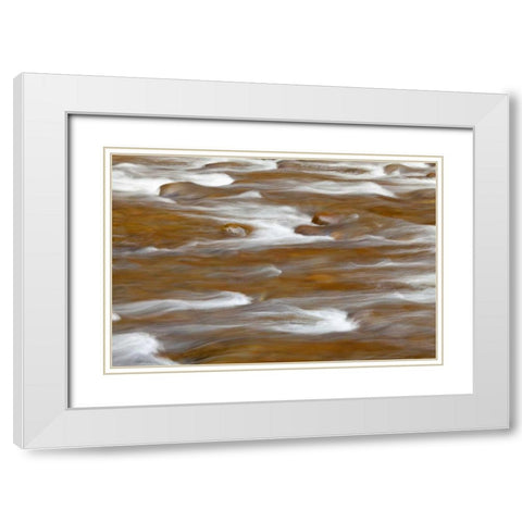 WA, Olympic NP autumn reflects in Solduc River White Modern Wood Framed Art Print with Double Matting by Paulson, Don