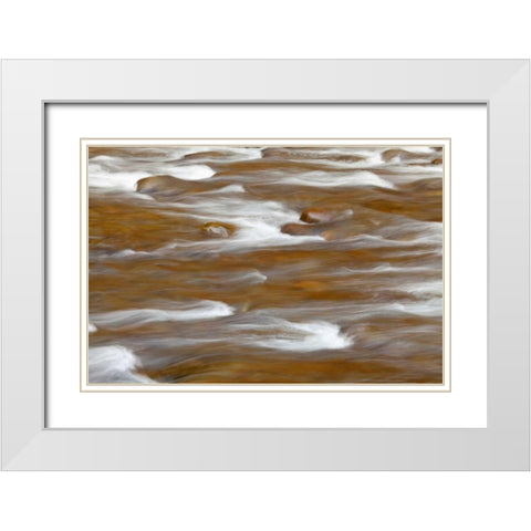 WA, Olympic NP autumn reflects in Solduc River White Modern Wood Framed Art Print with Double Matting by Paulson, Don