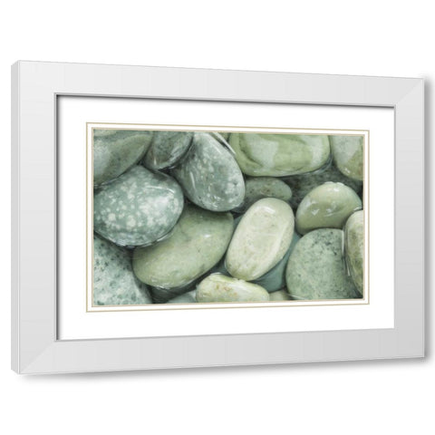 USA, Washington, Seabeck Close-up of wet rocks White Modern Wood Framed Art Print with Double Matting by Paulson, Don