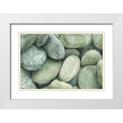 USA, Washington, Seabeck Close-up of wet rocks White Modern Wood Framed Art Print with Double Matting by Paulson, Don