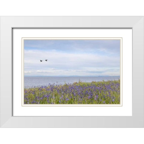 WA, San Juans Camas flowers on Patos Island White Modern Wood Framed Art Print with Double Matting by Paulson, Don