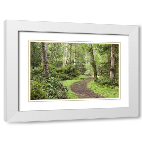 WA, San Juans, Stuart Island Trail through woods White Modern Wood Framed Art Print with Double Matting by Paulson, Don