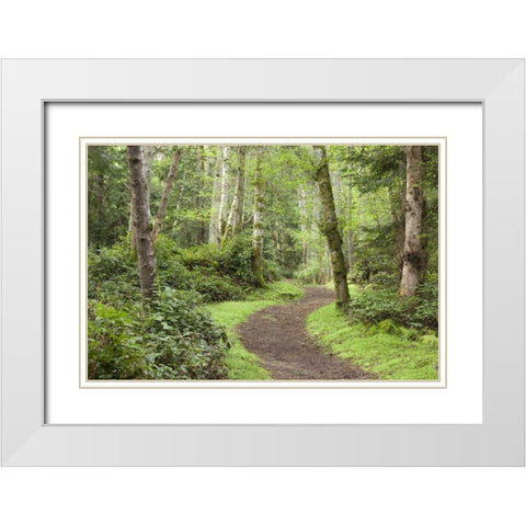WA, San Juans, Stuart Island Trail through woods White Modern Wood Framed Art Print with Double Matting by Paulson, Don