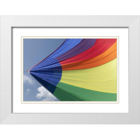 WA, San Juans Underside view of spinnaker flying White Modern Wood Framed Art Print with Double Matting by Paulson, Don