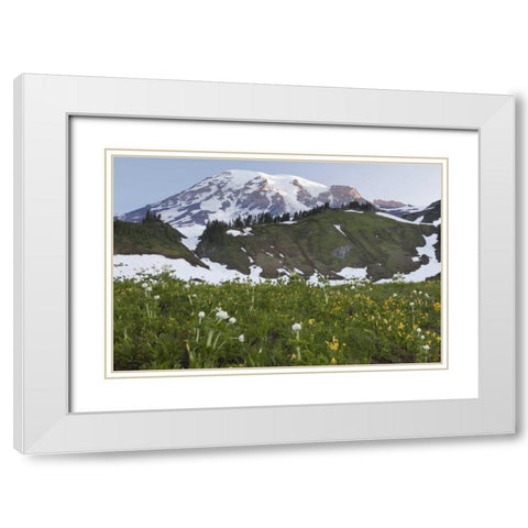 WA, Mt Rainier NP Sunrise on meadow with flowers White Modern Wood Framed Art Print with Double Matting by Paulson, Don