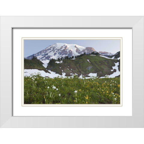 WA, Mt Rainier NP Sunrise on meadow with flowers White Modern Wood Framed Art Print with Double Matting by Paulson, Don